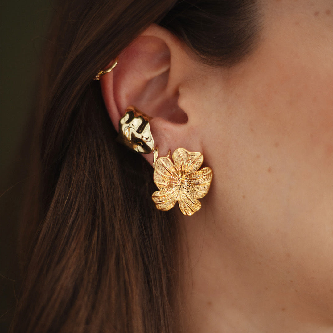 ARETES BAHIANA