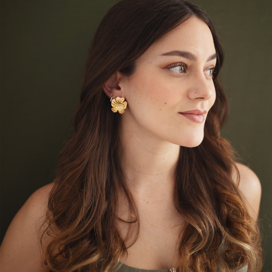 ARETES BAHIANA