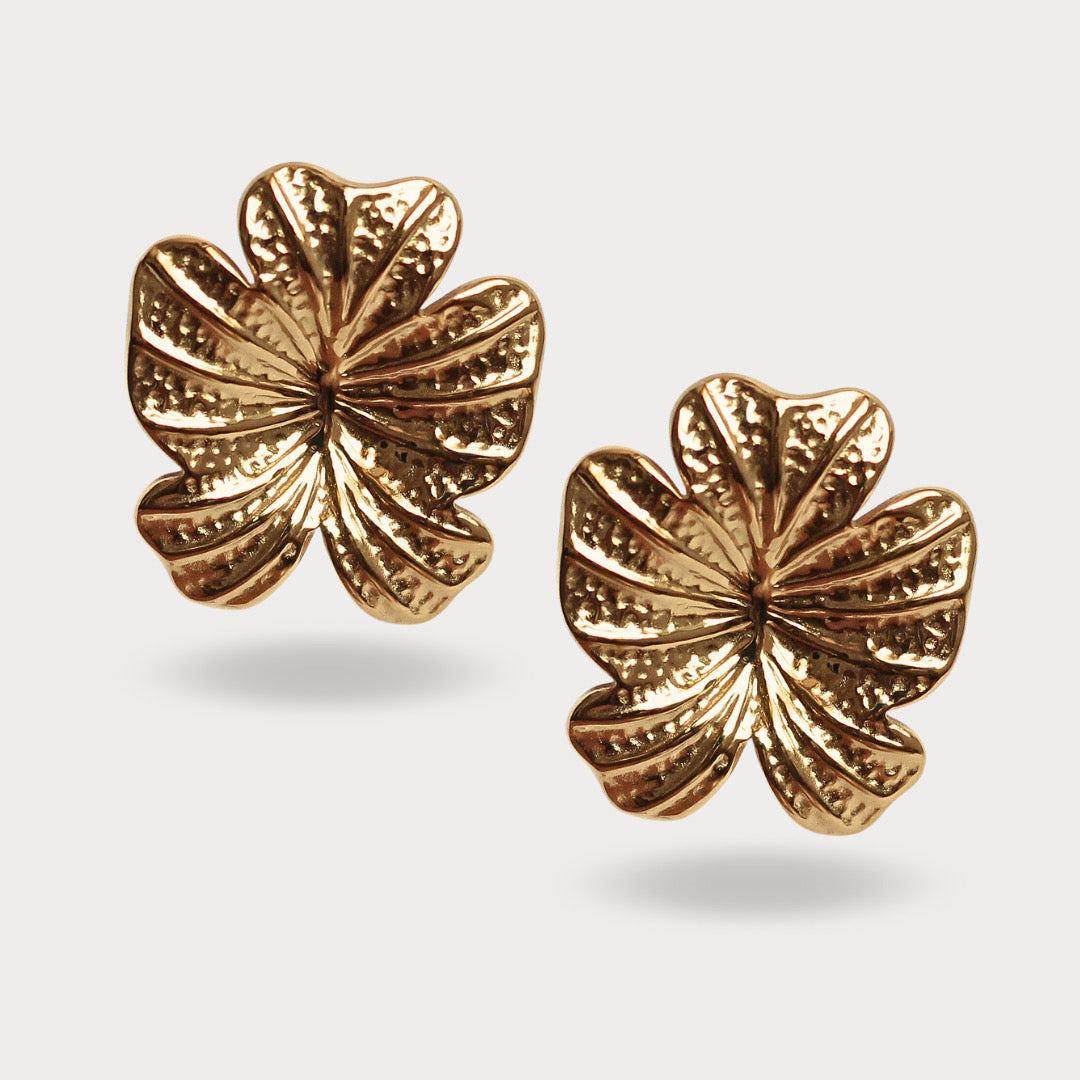 ARETES BAHIANA