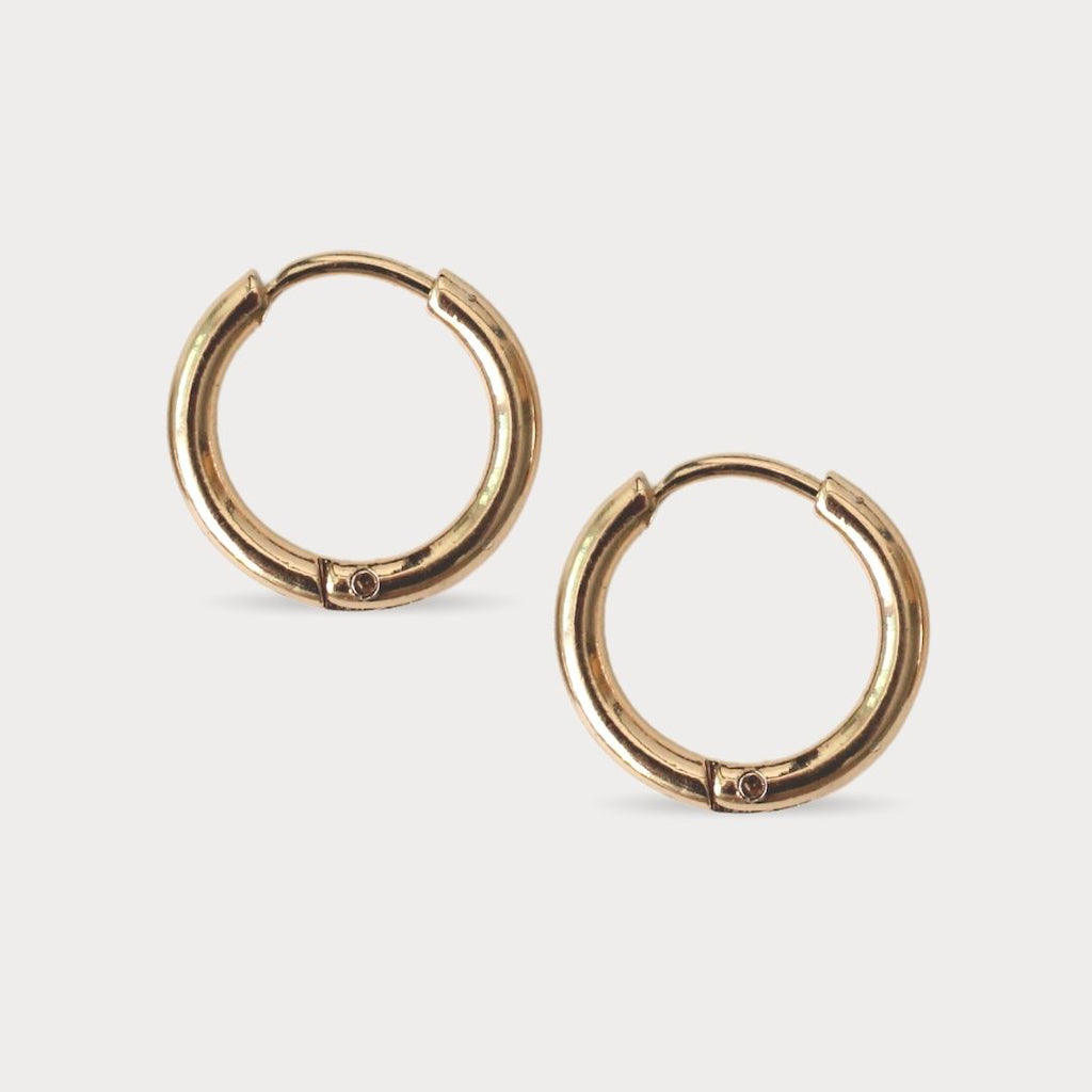 HOOPS REA