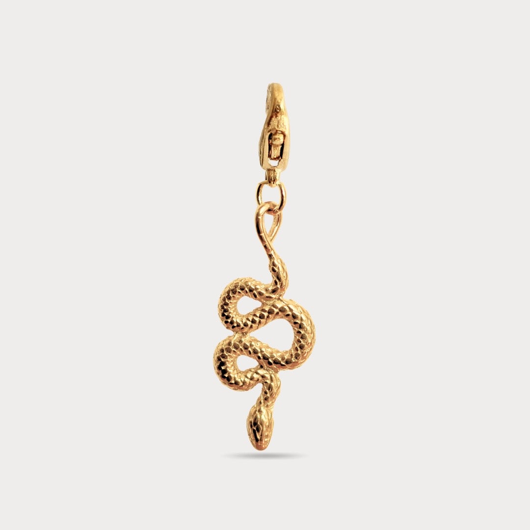 CHARMS COLLAR CADENA