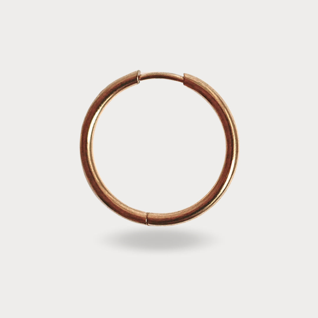 HOOPS REA