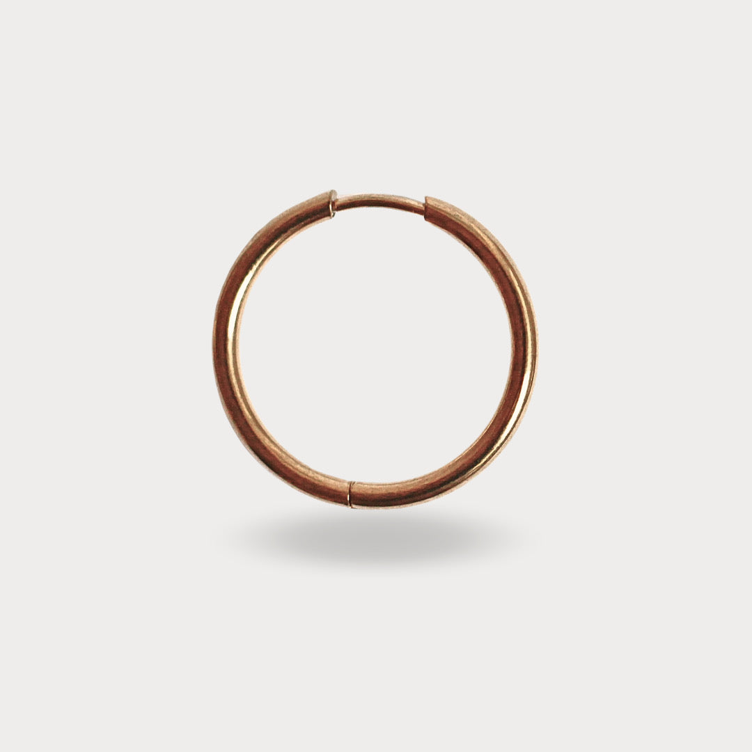 HOOPS REA