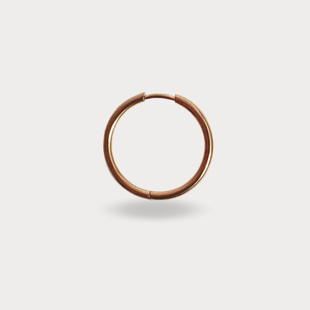 HOOPS REA