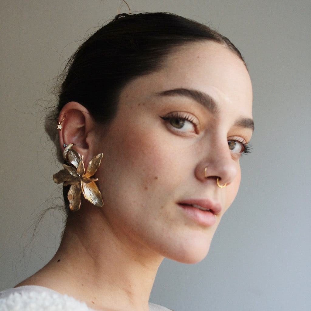 ARETES DALIS