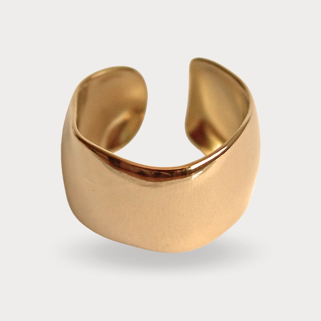ANILLO DARANA