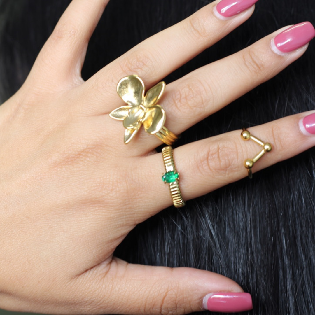 ANILLO CINZIA