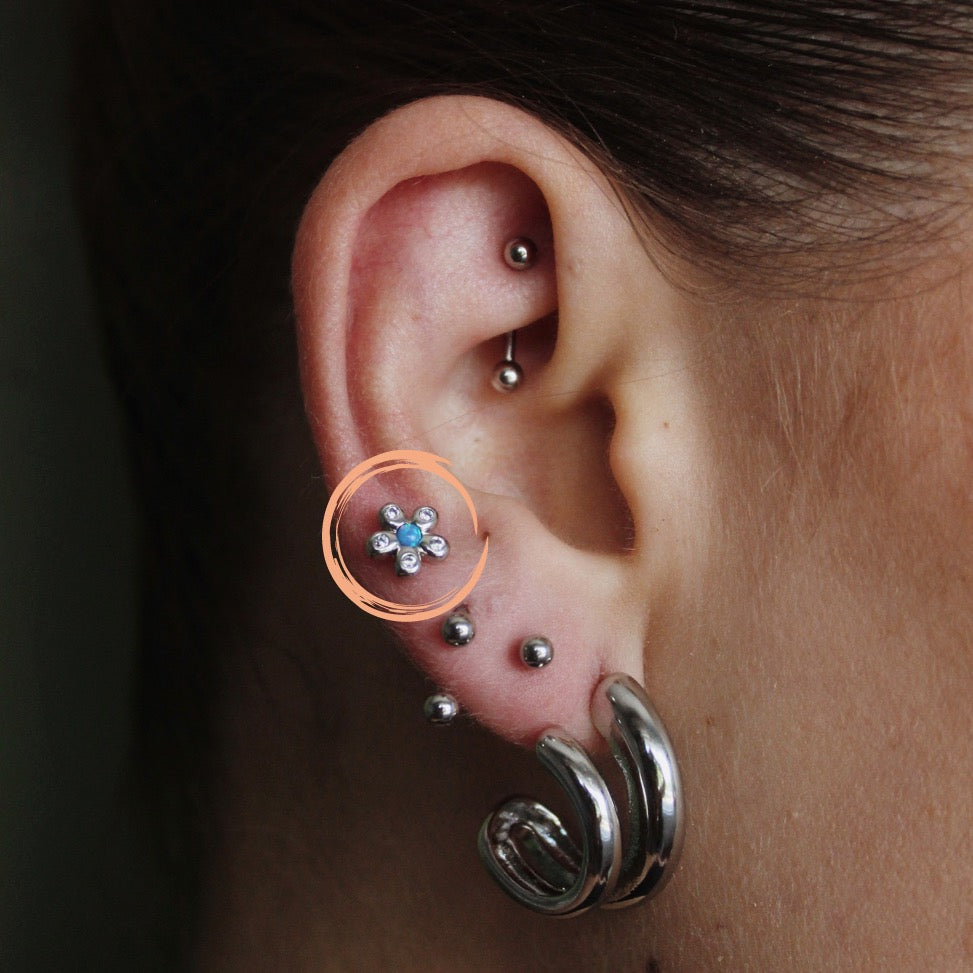 PIERCING ACERO RENATA