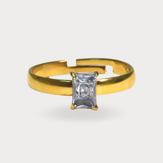 ANILLO VACHEL