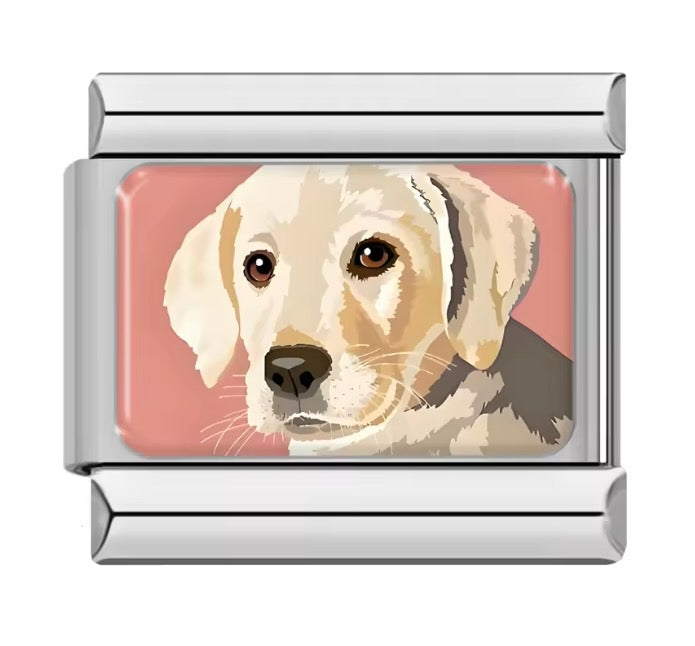 CHARMS PULSERA ESLABONES