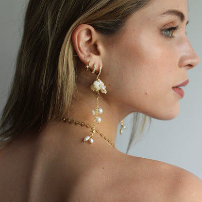 ARETES EMILIA