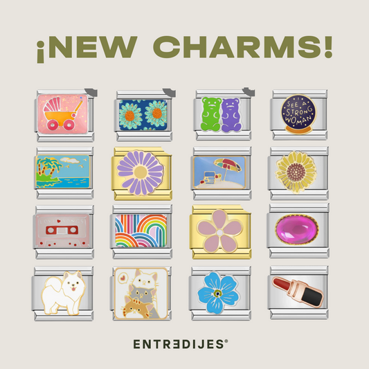 CHARMS PULSERA ESLABONES